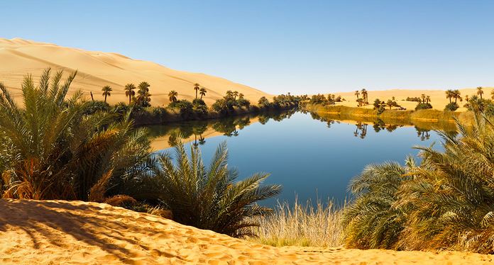 Admirer la beauté du Sahara et son immense désert